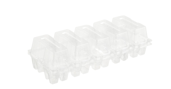 Robuste, recycelbare transparente Box 2 Stück